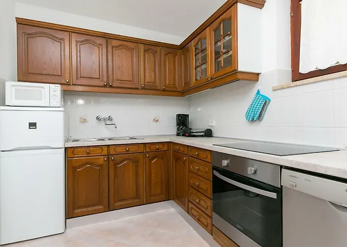 Apartman Ninas - Free Wine&spirit Tasting Visnjan